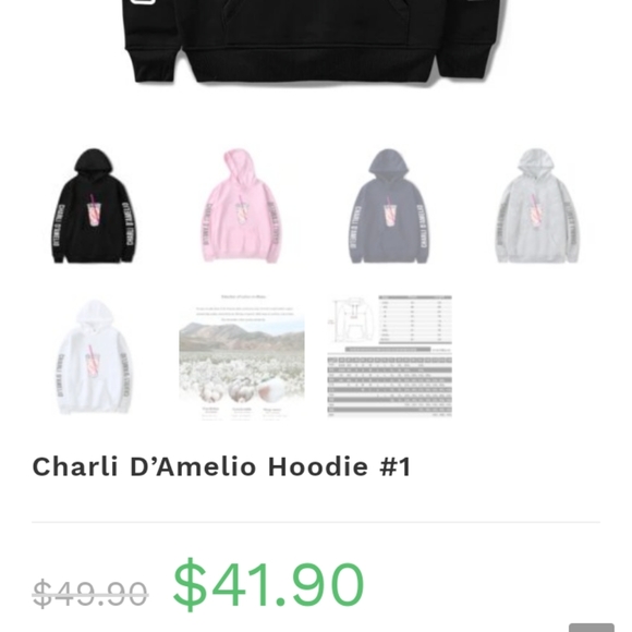 Charlie D'Amelio Merchandise Coffee Kangaroo Pouch Hoodie M Black - Picture 4 of 14